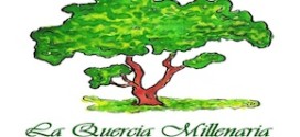 stellamatutina-la-quercia-millenaria-onlus
