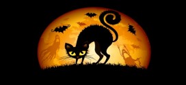 stellamatutina-halloween-gatto-streghe